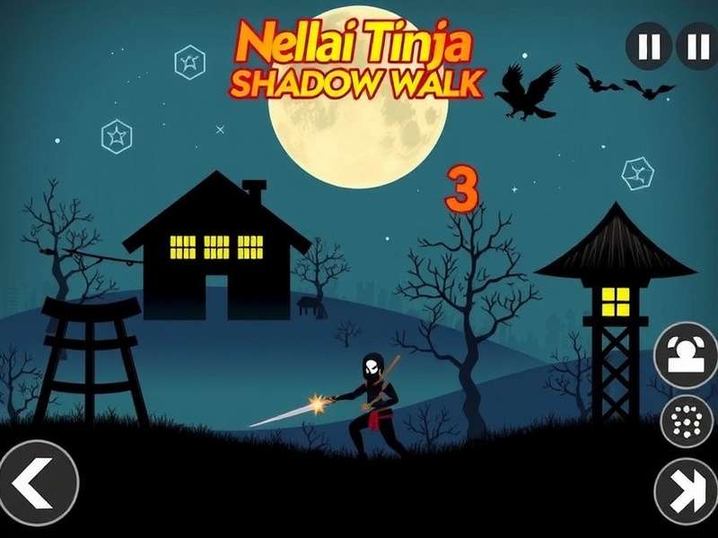 Nellai Ninja Shadow Walk Game Cover